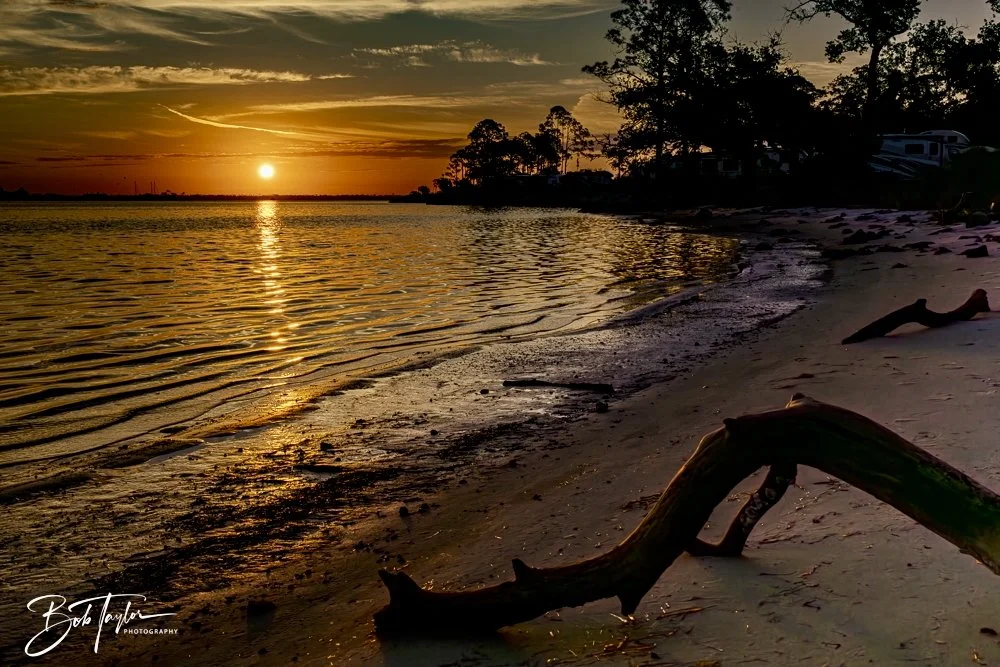 20250202-SASP Post 1 -48.jpeg