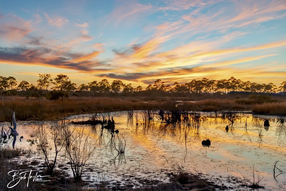 20250130-SASP Post 1 -34.jpeg