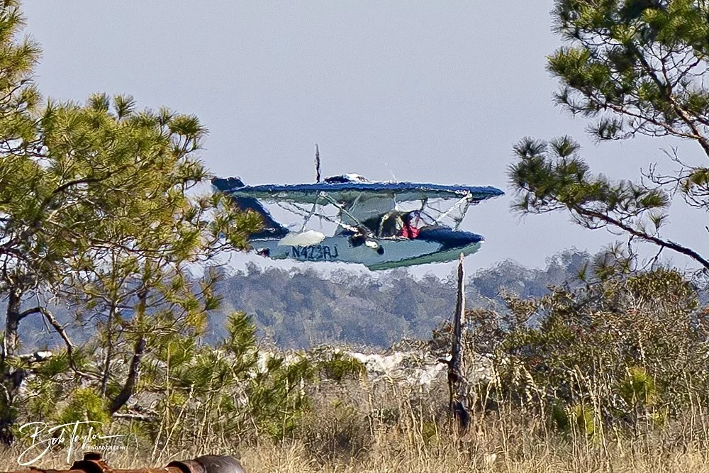 20250203-SASP Final Post 2 -41.jpeg