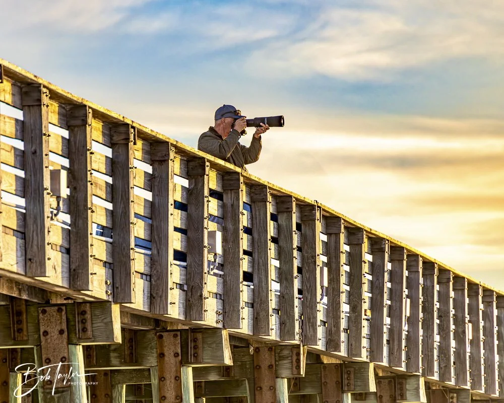 20250130-SASP Post 1 -31.jpeg