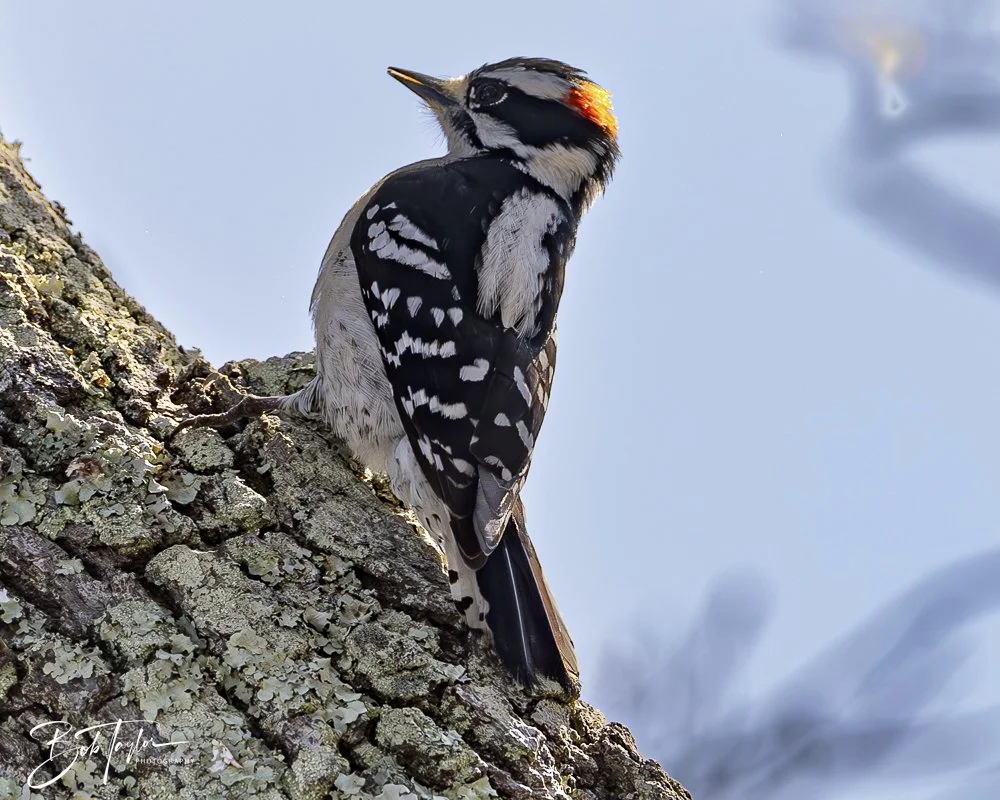 20250204-SASP Final Post -46.jpeg