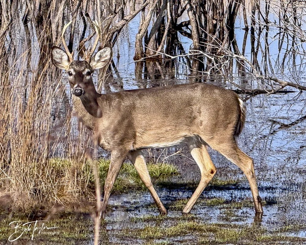 20250131-SASP Post 1 -37.jpeg