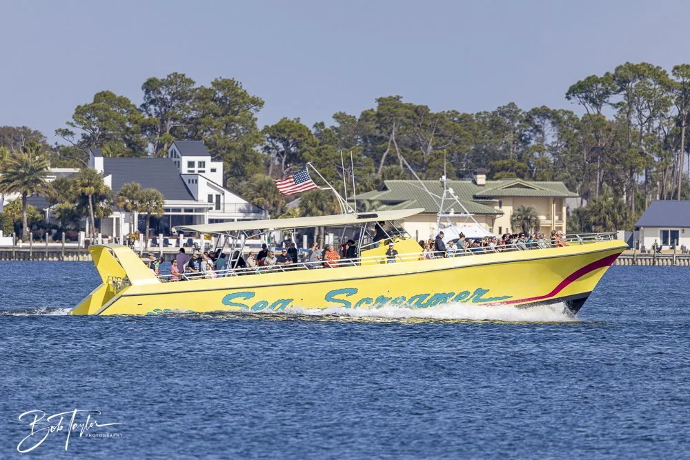 20250130-SASP Final Post -1.jpeg