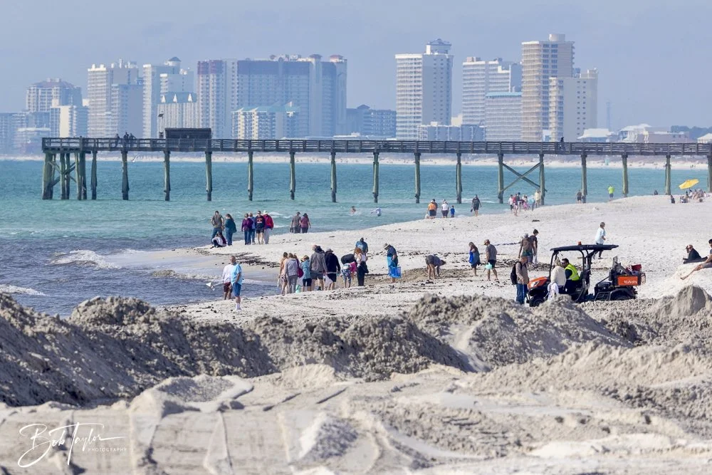 20250130-SASP Post 1 -27.jpeg