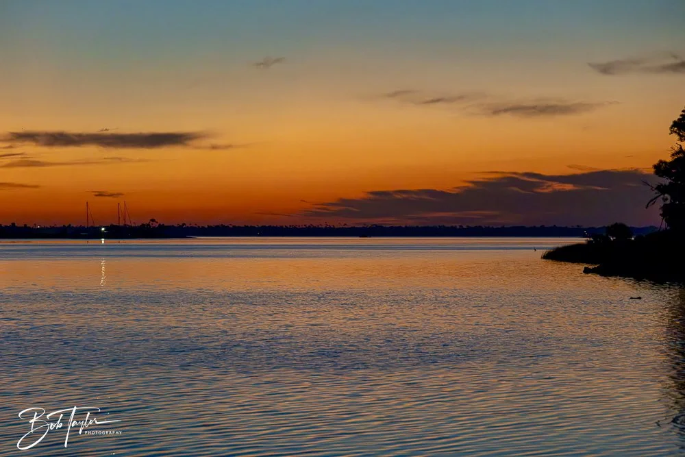 20250203-SASP Final Post 2 -9.jpeg