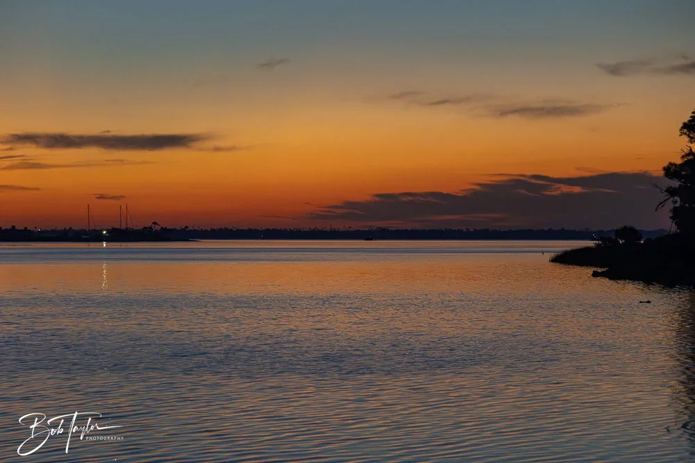 20250203-SASP Final Post -9.jpeg