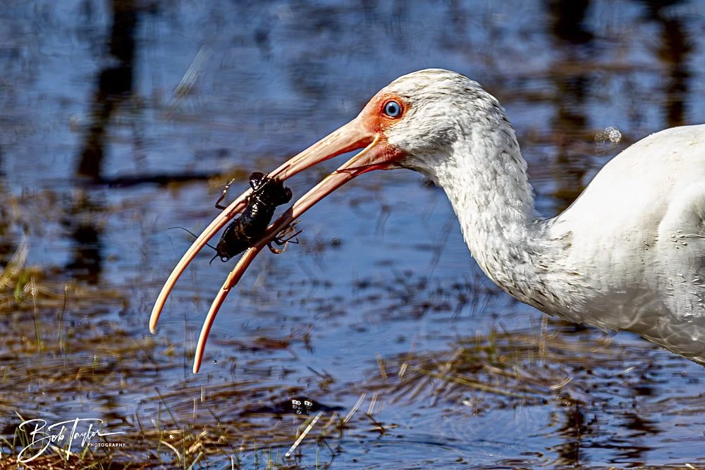 20250202-SASP Final Post 2 -5.jpeg