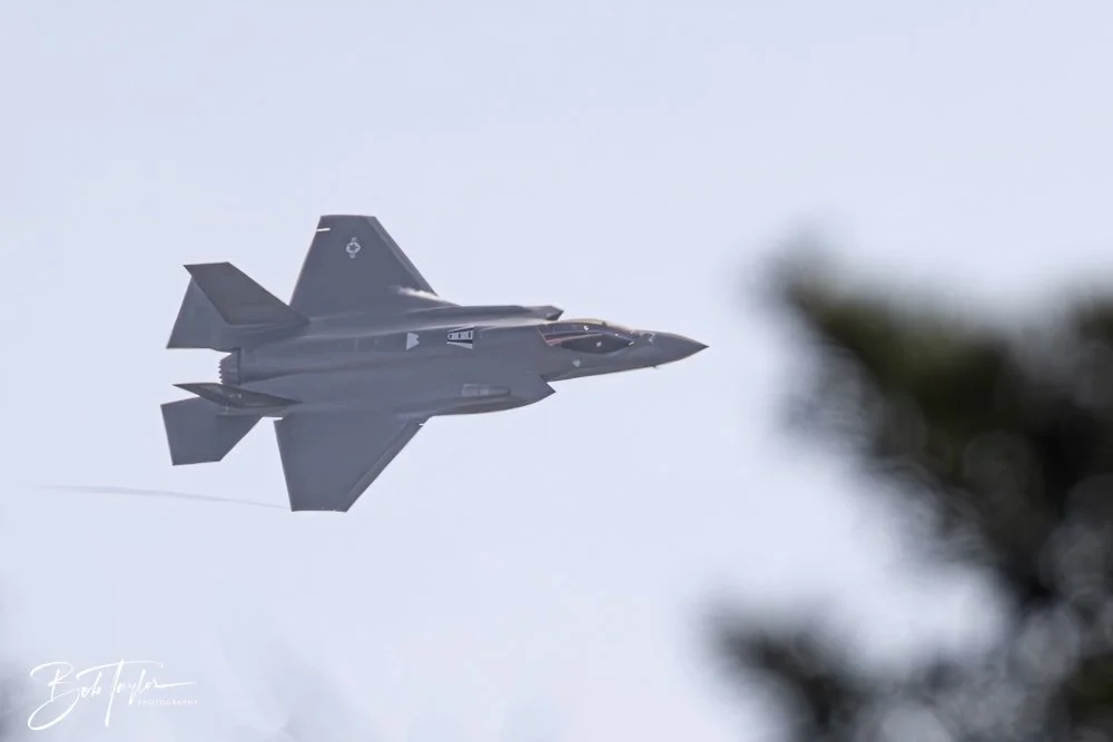 20250204-SASP Final Post -54.jpeg