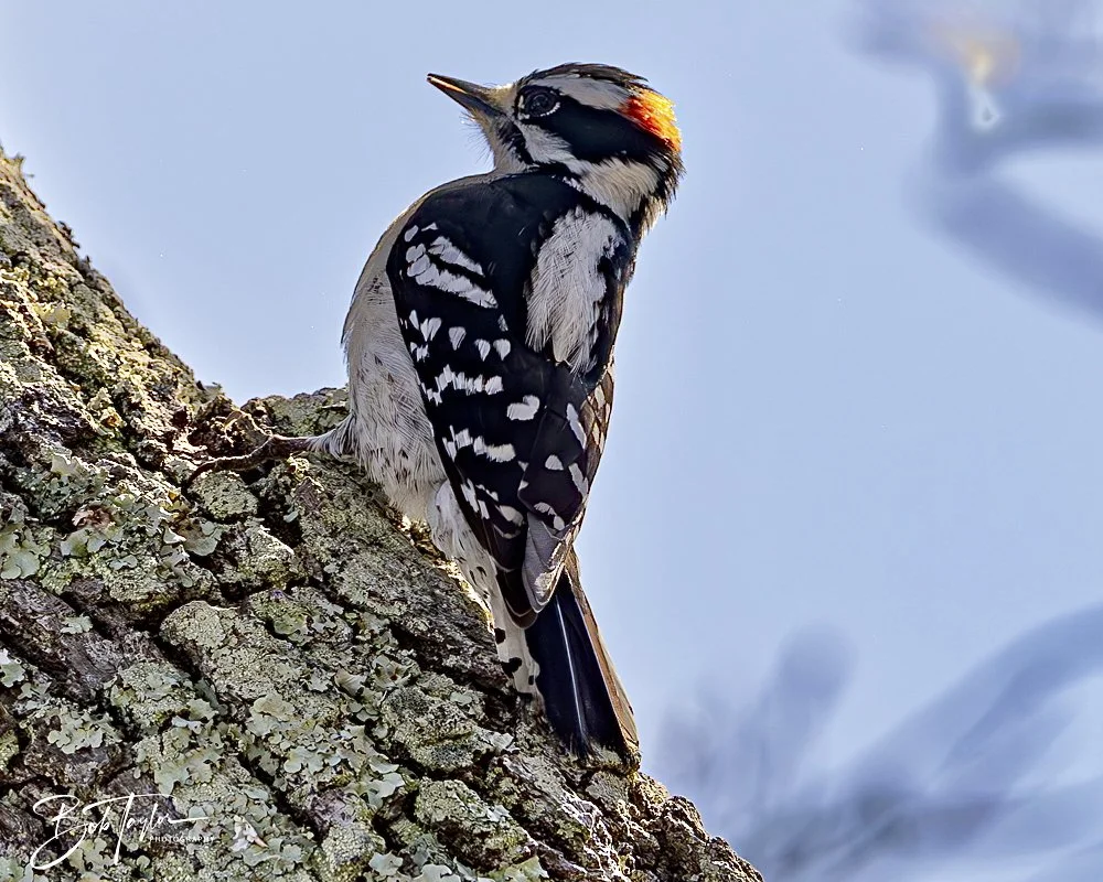 20250204-SASP Final Post 2 -71.jpeg