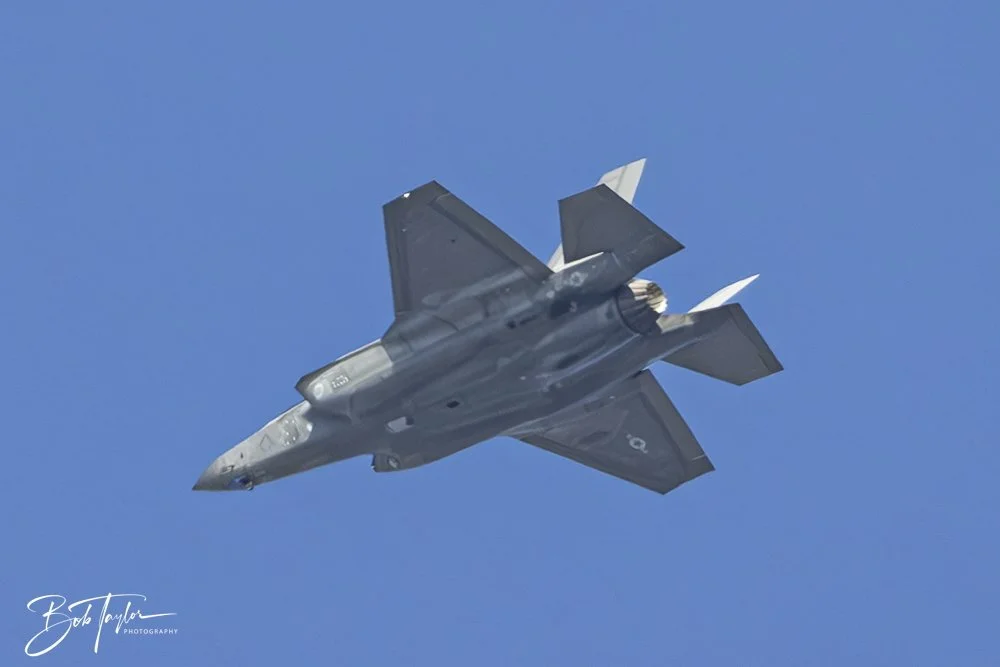 20250204-SASP Final Post -39.jpeg