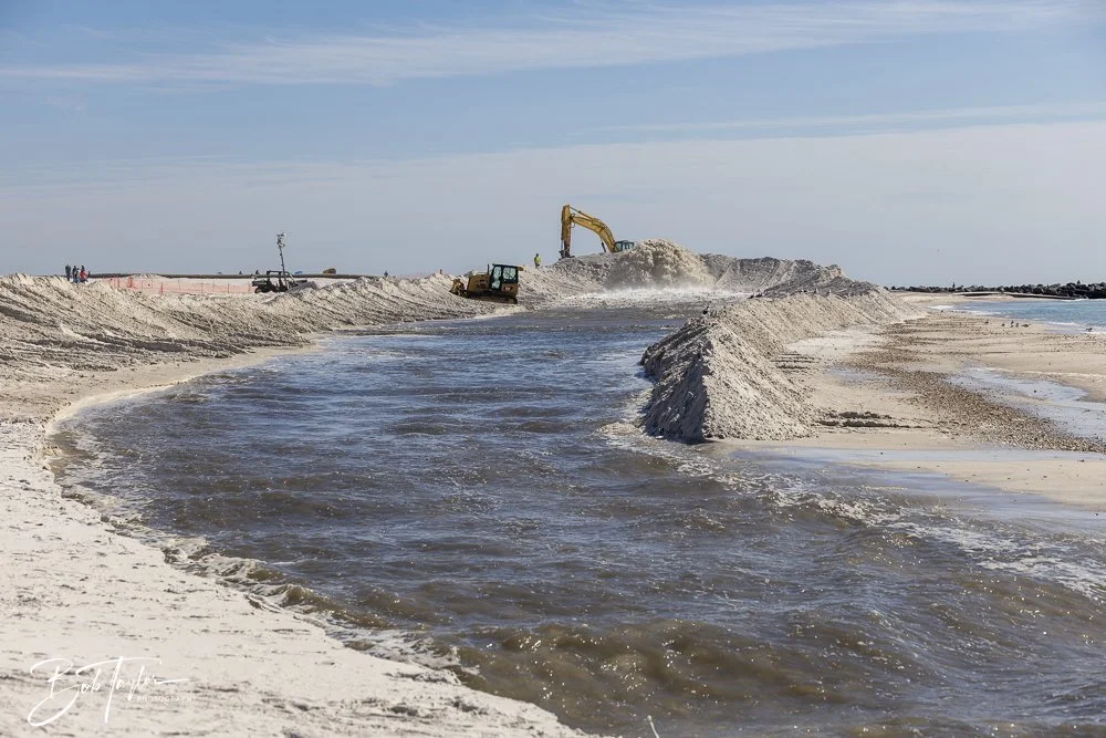 20250202-SASP Final Post -7.jpeg