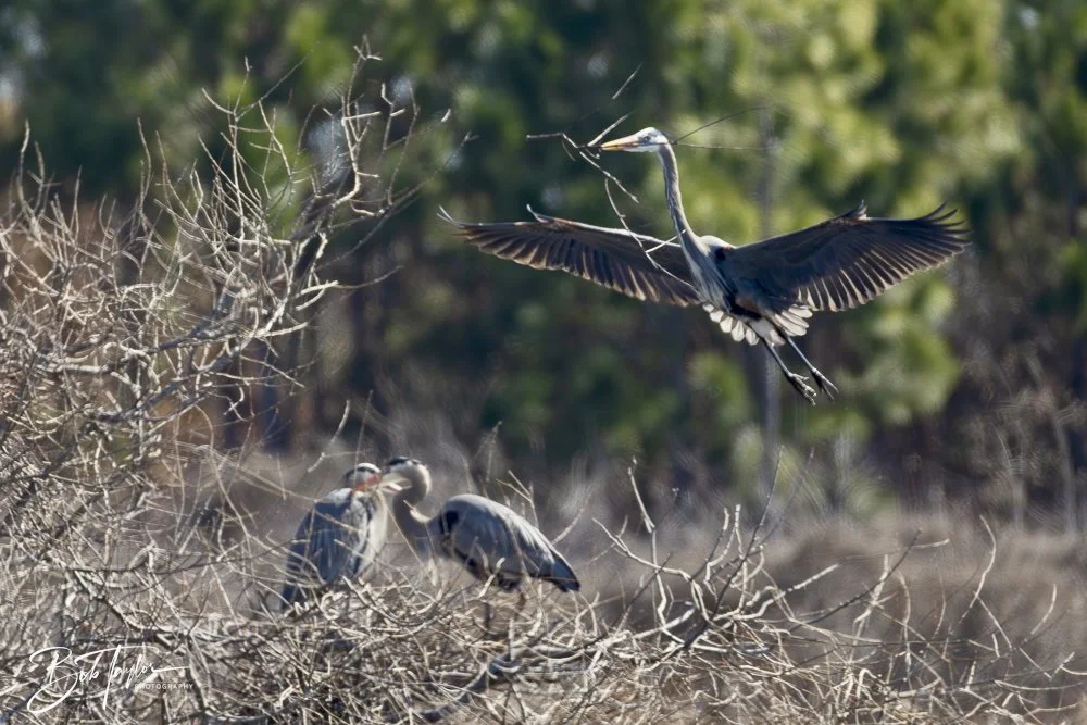 20250202-SASP Post 1 -51.jpeg