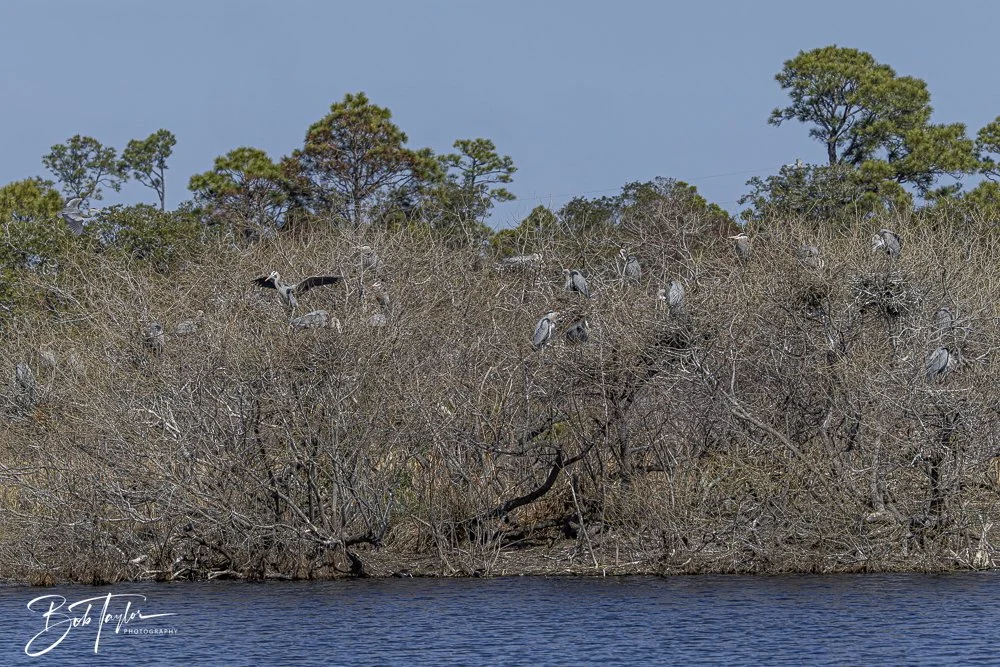 20250204-SASP Final Post -49.jpeg