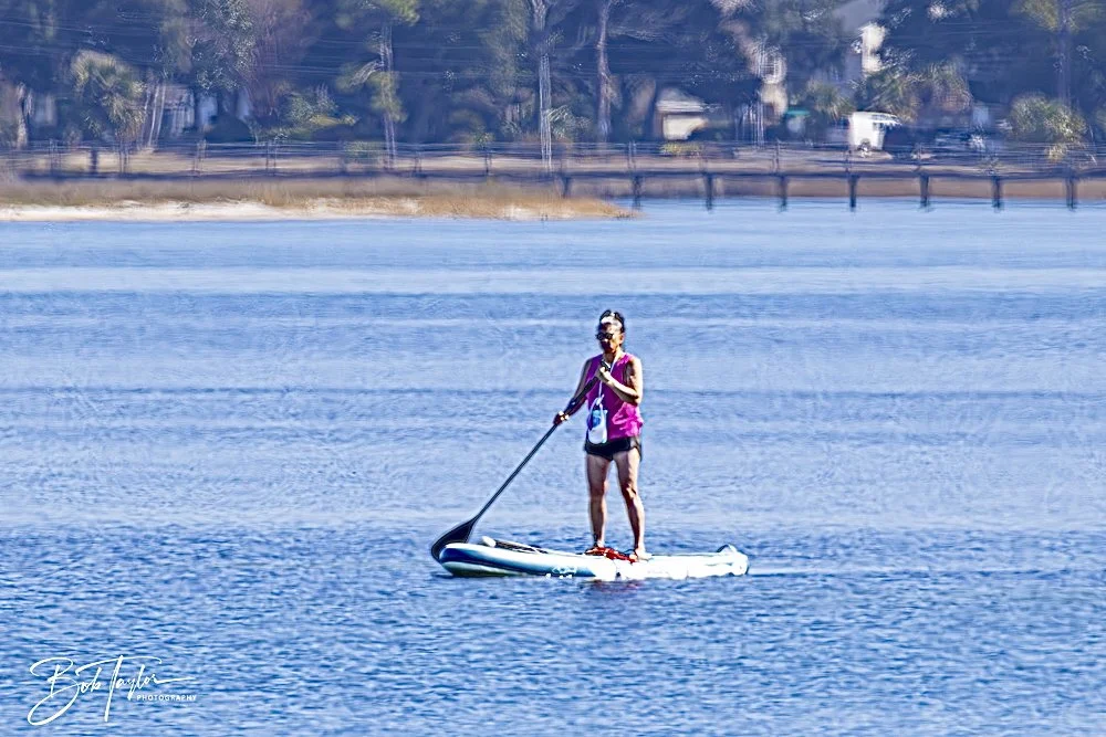 20250203-SASP Final Post 2 -33.jpeg