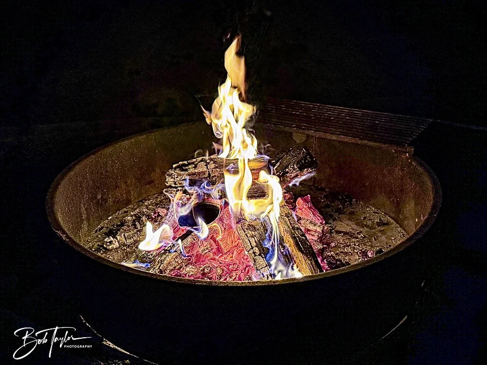 20250203-SASP Final Post 2 -53.jpeg