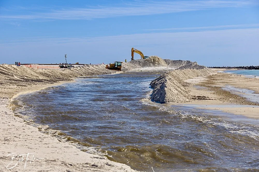 20250202-SASP Final Post 2 -7.jpeg