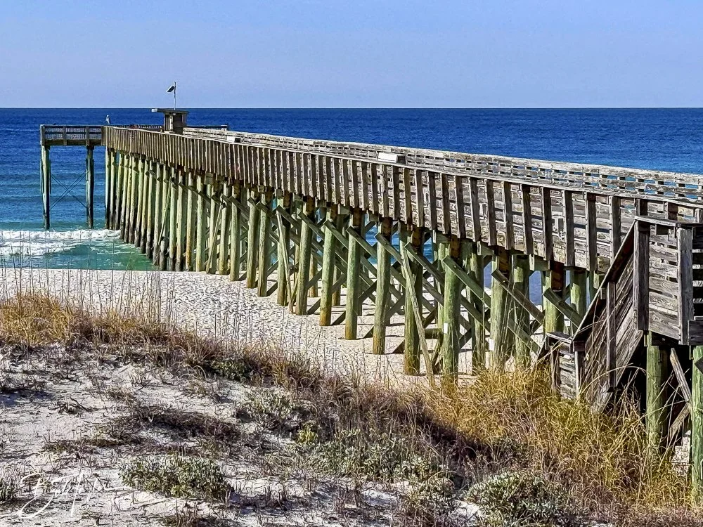 20250201-SASP Post 1 -41.jpeg