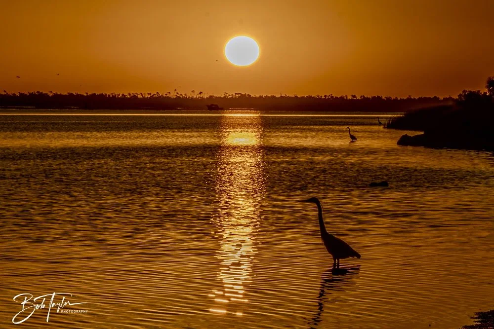 20250201-SASP Post 1 -38.jpeg