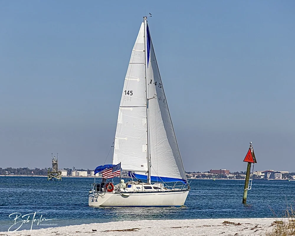 20250203-SASP Final Post 2 -43.jpeg