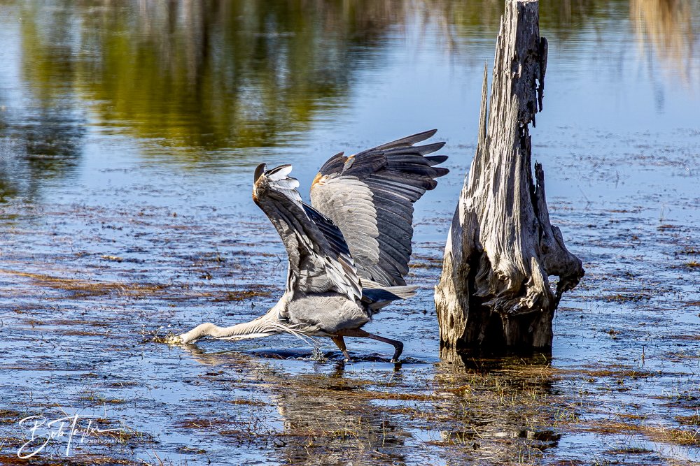 20250202-SASP Post 1 -58.jpeg