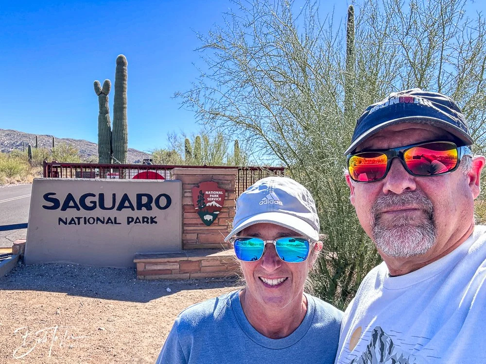 20241110-Saguaro -1.jpg