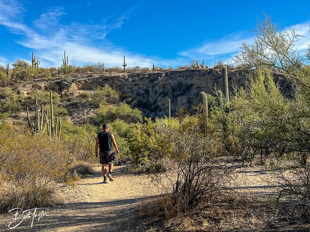 20241110-Saguaro -9.jpg