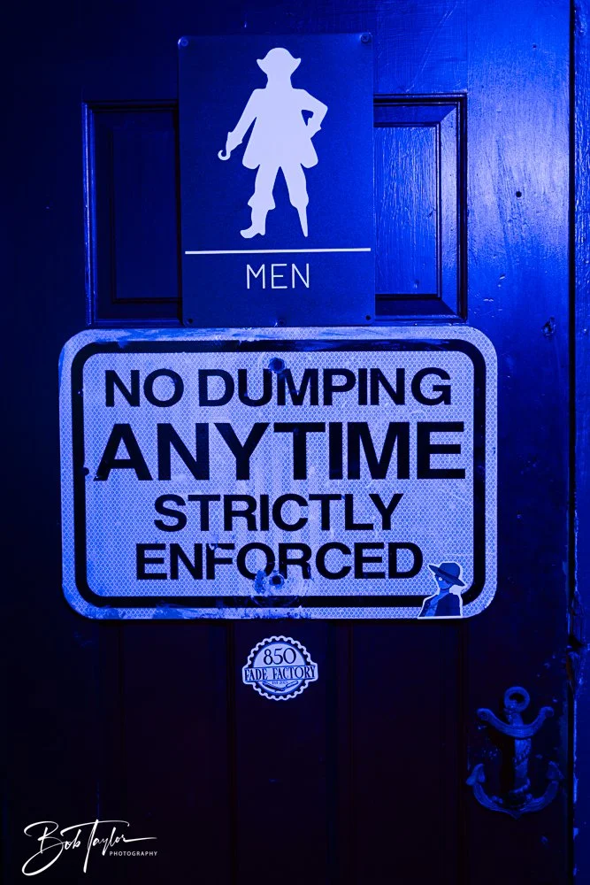 20250212-20250212-The Dive -14.jpg