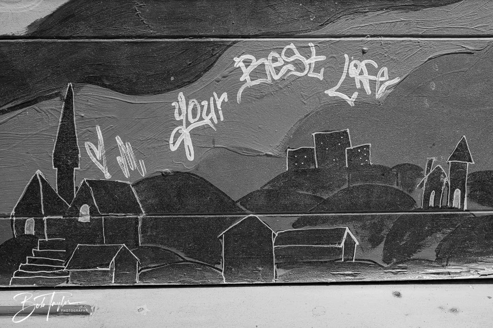 20250226-20250226-Frank B&W -24.jpg