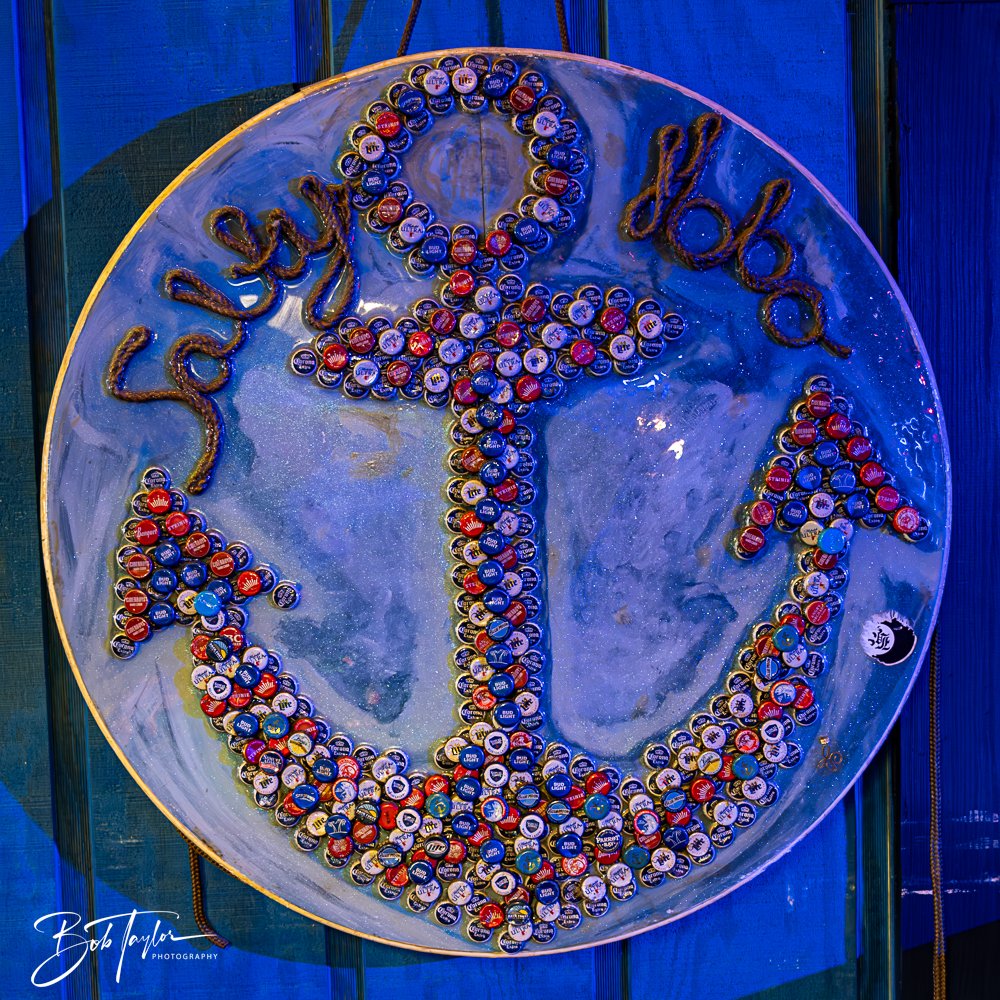 20250212-20250212-The Dive -17.jpg