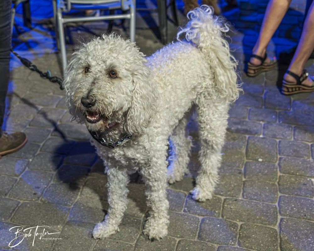 20250409-20250409-Frank Party -6.jpg