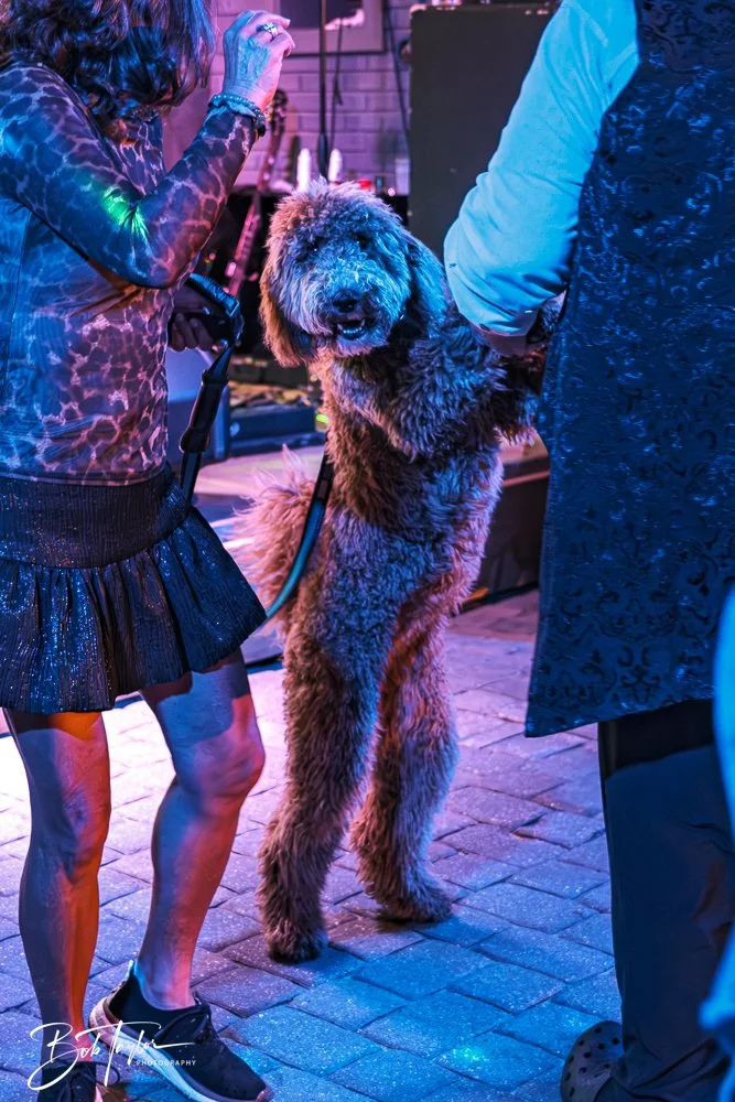 20250409-20250409-Frank Party -4.jpg