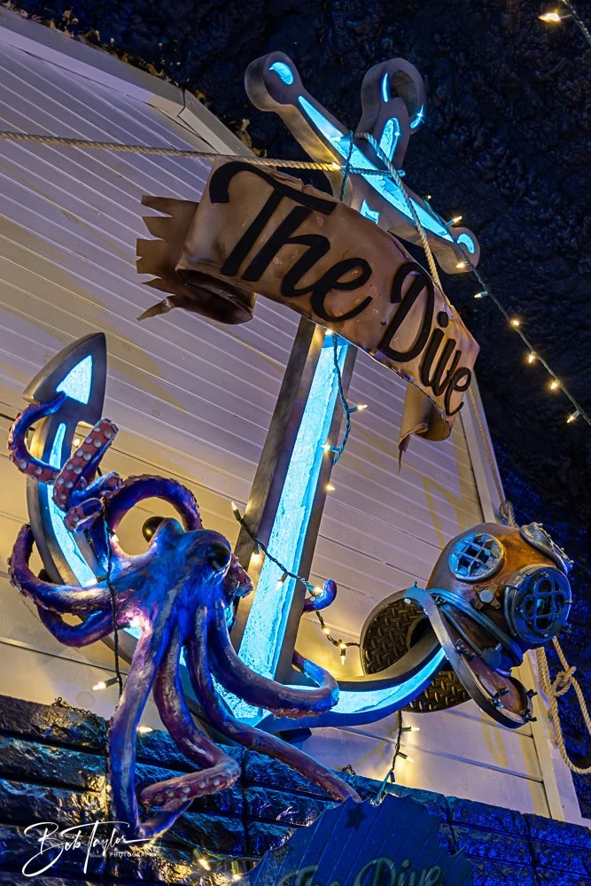 20250212-20250212-The Dive -16.jpg