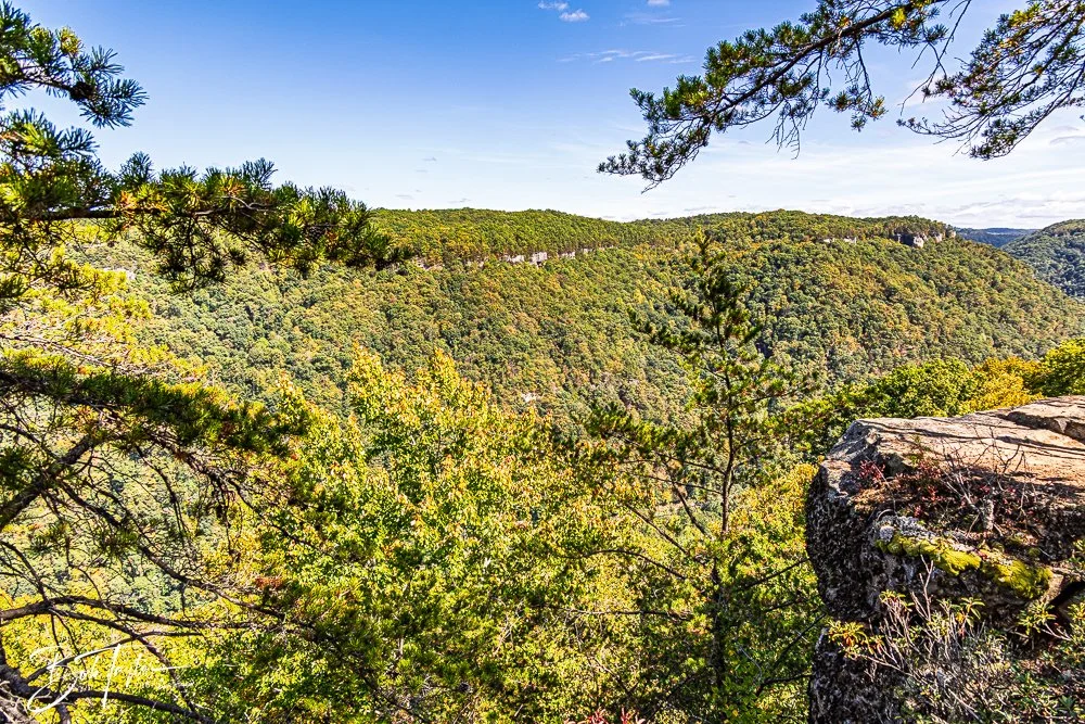 20250917-New River Gorge Hiking -35.jpg