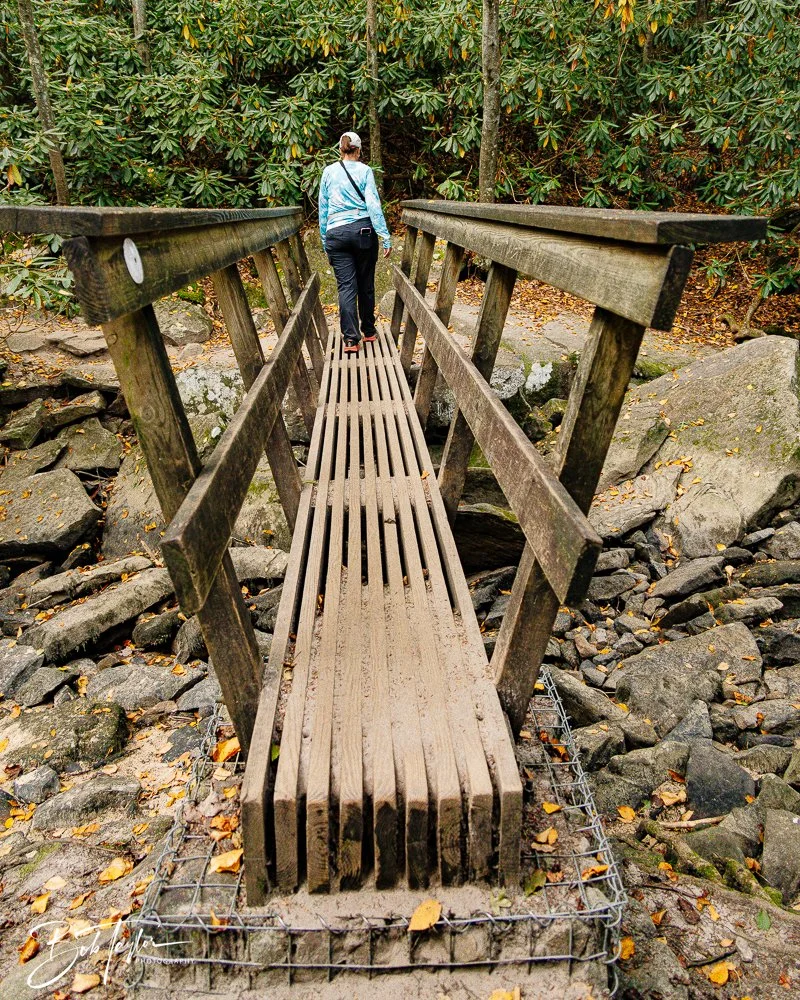 20250917-New River Gorge Hiking -8.jpg