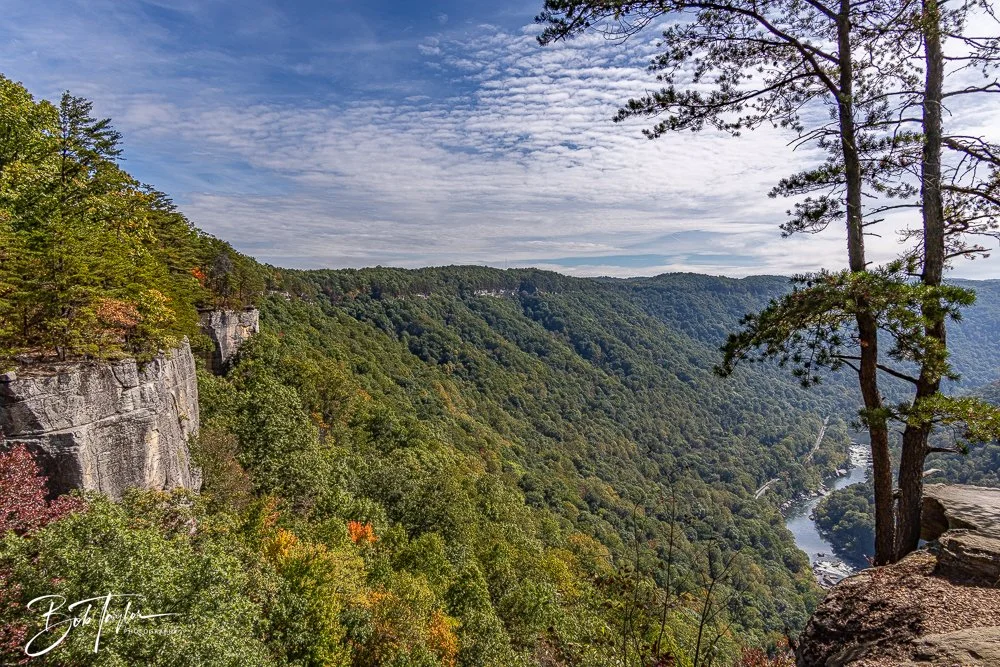 20250917-New River Gorge Hiking -19.jpg