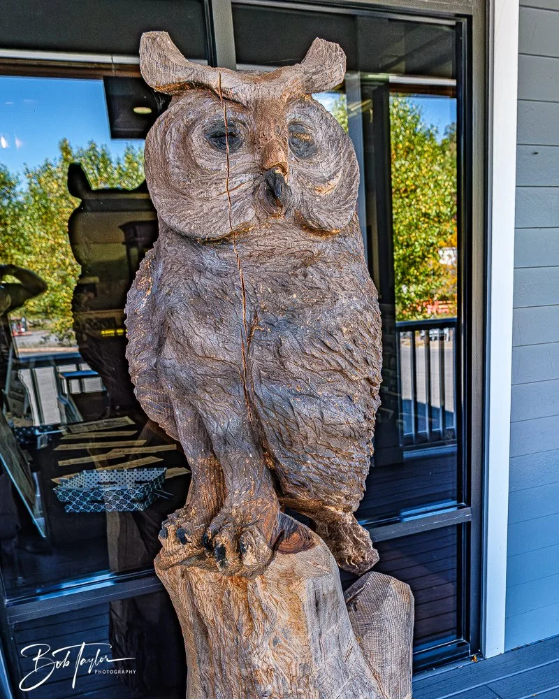 20250919-Coal Mine -82.jpg