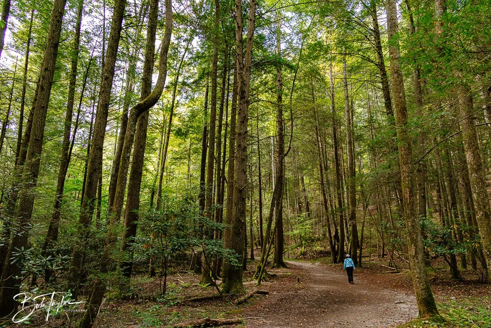 20250917-New River Gorge Hiking -3.jpg