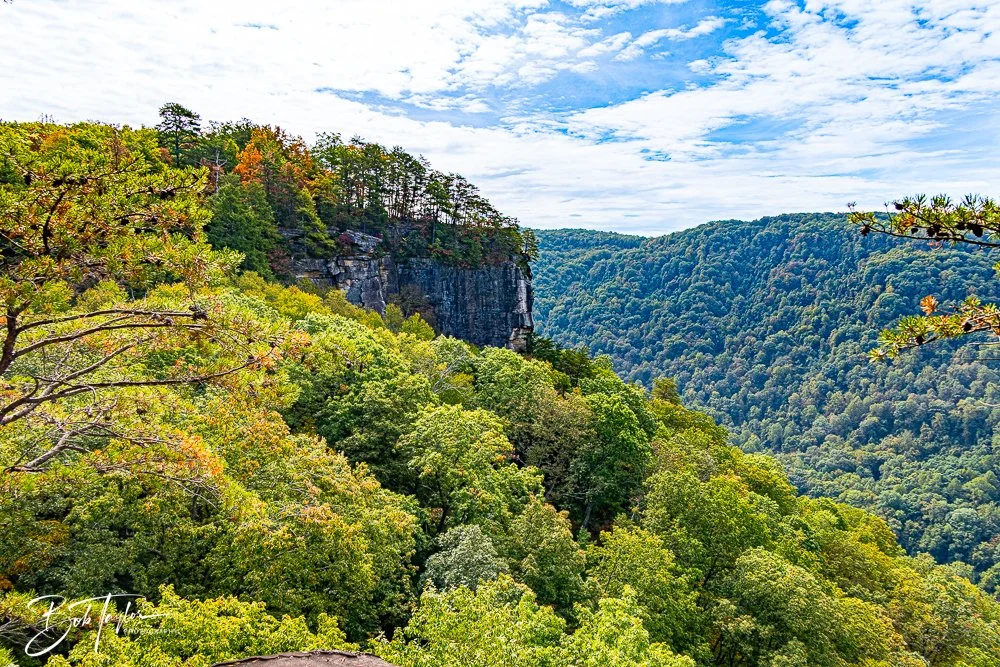 20250917-New River Gorge Hiking -15.jpg