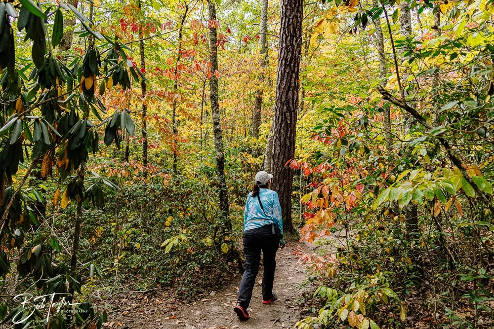 20250917-New River Gorge Hiking -5.jpg
