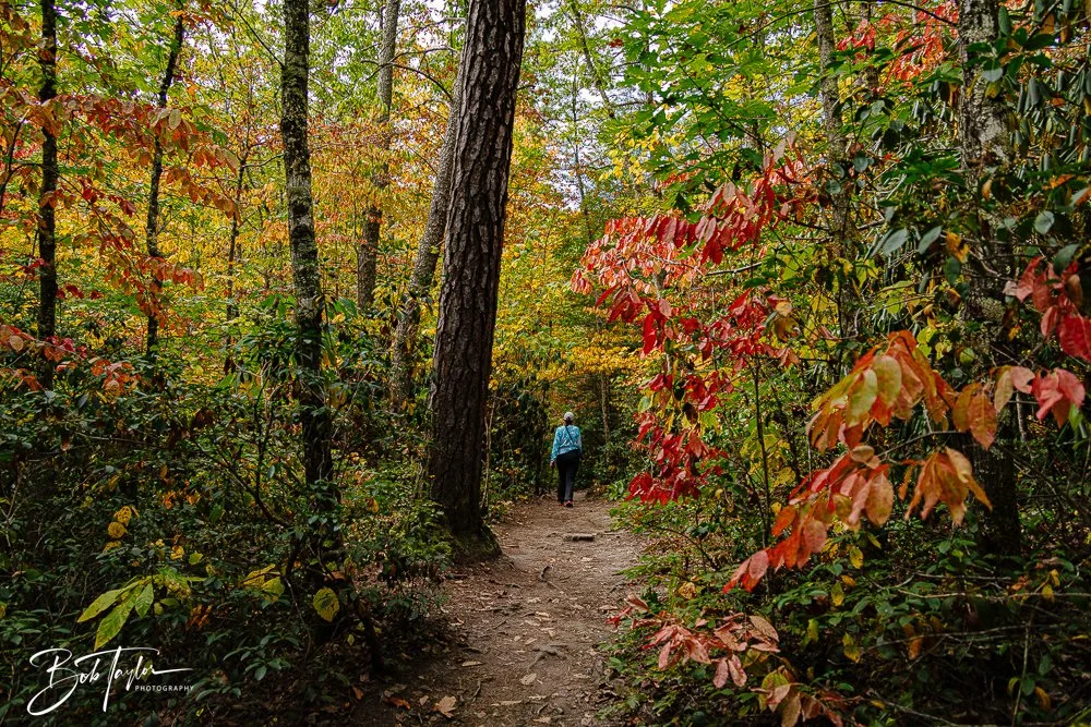 20250917-New River Gorge Hiking -6.jpg
