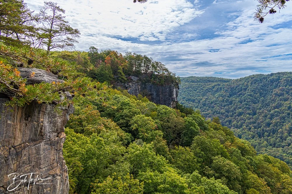 20250917-New River Gorge Hiking -10.jpg