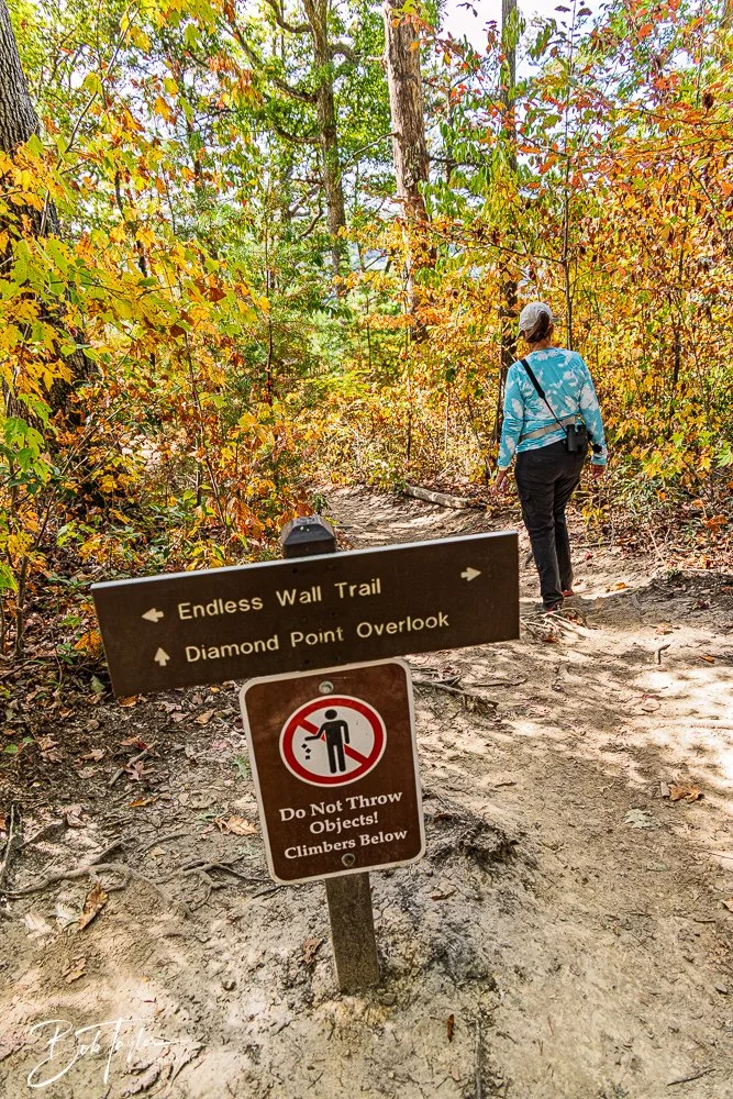 20250917-New River Gorge Hiking -18.jpg