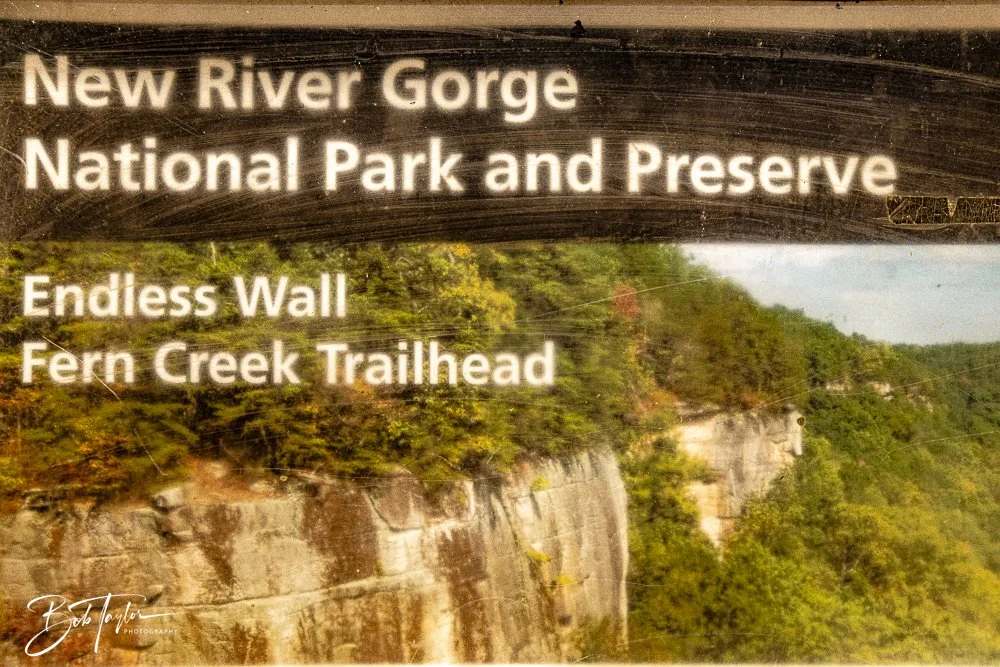 20250917-New River Gorge Hiking -1.jpg