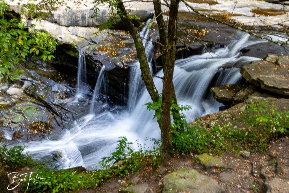 20250916-New River Gorge Hiking 2 -2.jpg
