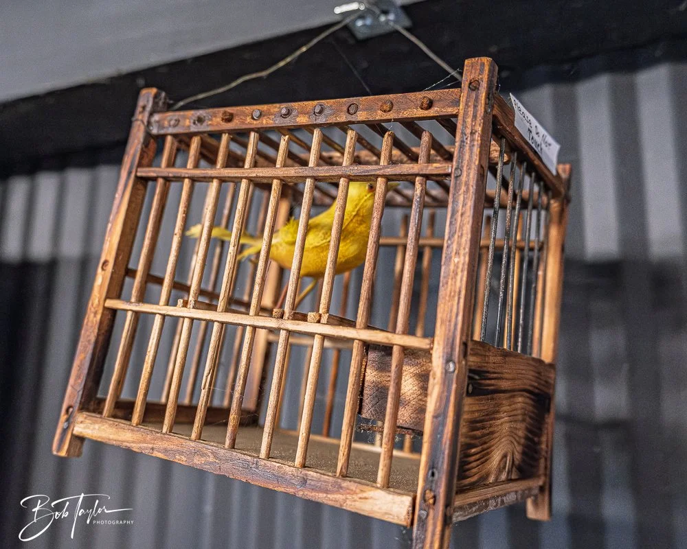 20250919-Coal Mine -26.jpg