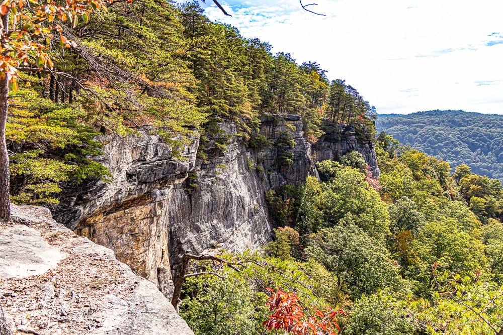 20250917-New River Gorge Hiking -16.jpg