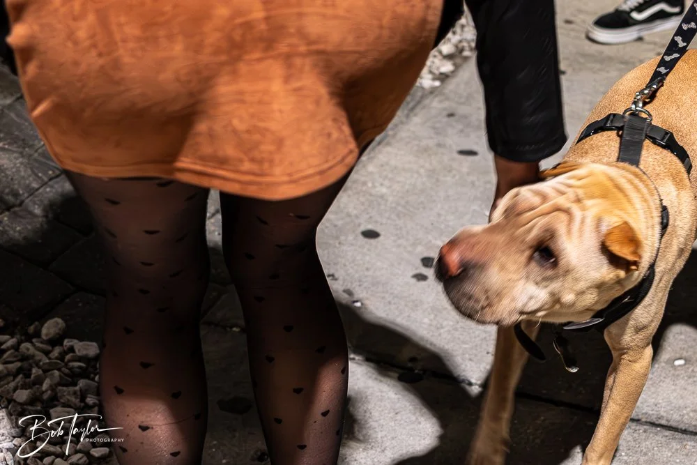 20250214-20250214-The Dive Mind Plays -30.jpg