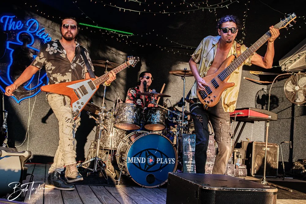 20250414-20250414-Mind Plays Flies -1.jpg