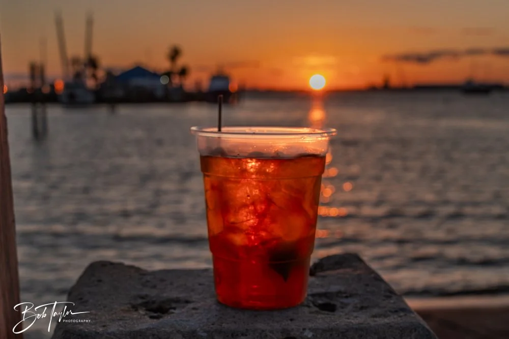 20250414-20250414-Mind Plays Flies -15.jpg