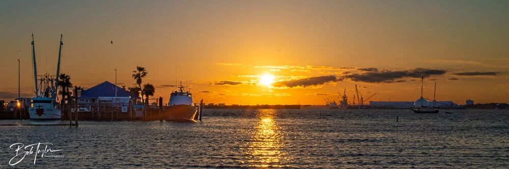 20250414-20250414-Mind Plays Flies -13.jpg